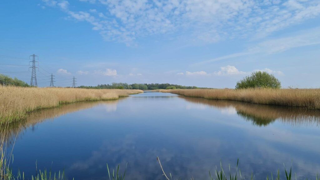 Newport Wetlands