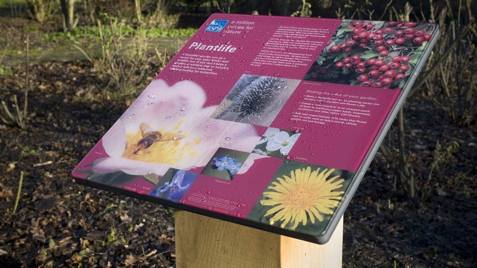 Newport Wetlands plantlife information signage