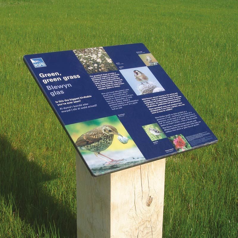 Newport Wetlands bird information sign - 'Green, green grass'